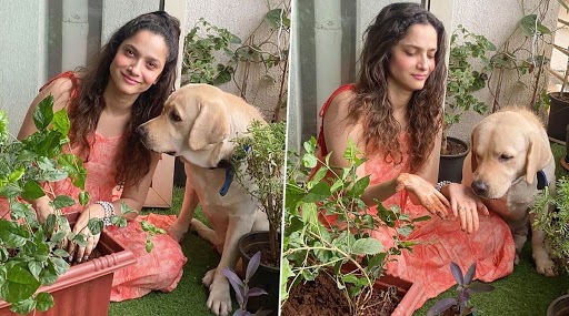 #Plant4SSR के तहत सुशांत सिह राजपूत की याद में अंकिता लोखंडे ने किया पौधारोपण
