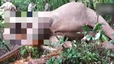 Karnataka Elephant Death: कर्नाटक में बिजली के करंट से हाथी की मौत, जांच में जुटा वन विभाग