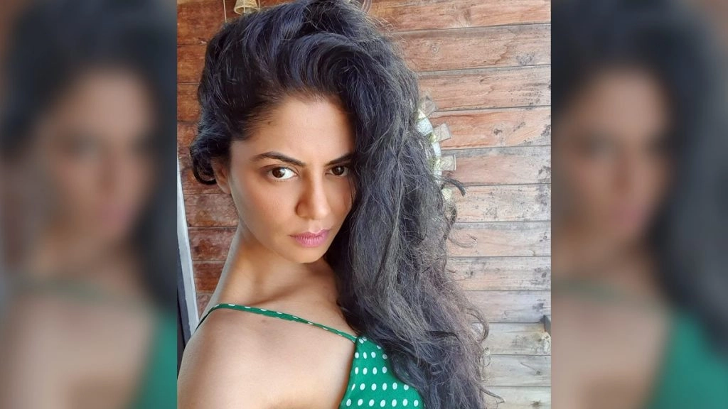 क्या कविता कौशिक बिग बॉस के घर में बड़े खेल के लिए तैयार हैं?