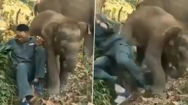 Elephant Viral Video: नन्हे हाथी के क्षेत्र में शख्स ने किया अतिक्रमण तो उसे ऐसे सिखाया सबक, वायरल वीडियो देख आप भी नहीं रोक पाएंगे अपनी हंसी