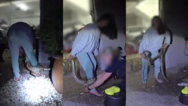 Python Viral Video: रात के अंधेरे में अचानक महिला के पैर से लिपट गया अजगर, फिर जो हुआ... देखें हैरान करने वाला वीडियो