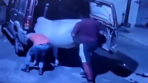 Cow Smugglers Caught in CCTV: राजस्थान के भरतपुर में गाय चुराते गो-तस्कर सीसीटीवी में कैद, जांच में जुटी पुलिस
