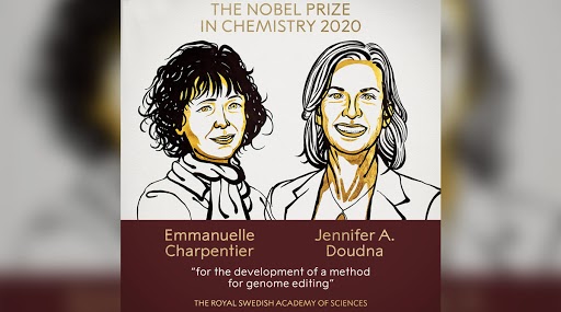 Nobel Prize in Chemistry 2020 Winners: Emmanuelle Charpentier और Jennifer A. Doudna  को मिला जीनोम एडिटिंग मेथड के विकास के लिए  केमिस्ट्री  में नोबेल पुरस्कार