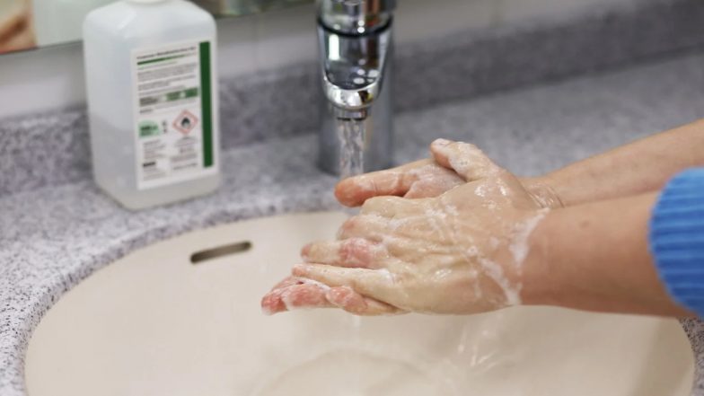 Global Handwashing Day 2020: हाथ धोकर कई प्रकार के संक्रमण को दी जा सकती है मात, कोरोना महामारी को देखते हुए 'विश्व हाथ धुलाई दिवस' फैलाई जा रही है जागरूकता