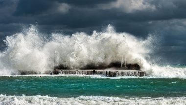 Cyclone Burevi: तमिलनाडु पर मंडराने लगा चक्रवाती तूफान बुरेवी का खतरा, IMD ने दी यह चेतावनी