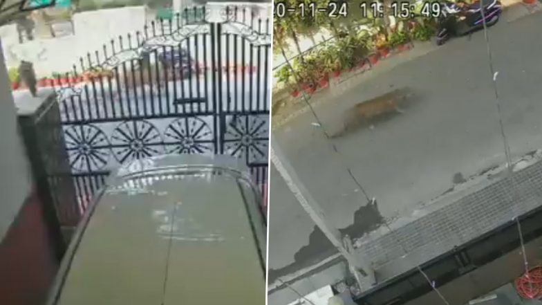Leopard Spotted in Ghaziabad: राजधानी दिल्ली से सटे गाजियाबाद में सड़क पर दिखा तेंदुआ, वीडियो हुआ वायरल