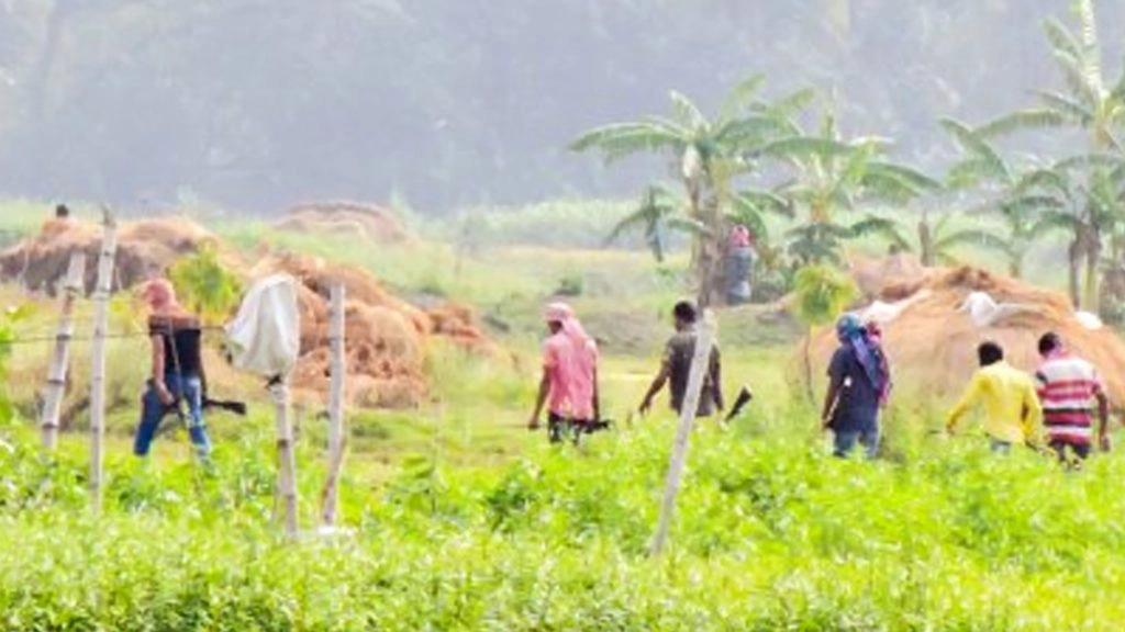 पंचायत चुनाव दिसंबर में दो चरणों में होंगे