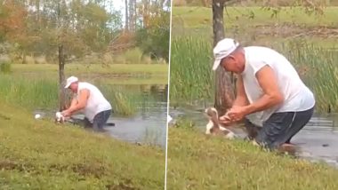 Man Rescue Puppy From Alligator: मगरमच्छ के जबड़े से अपने पालतू कुत्ते को बचाने के लिए तालाब में कूदा शख्स, वीडियो हुआ वायरल