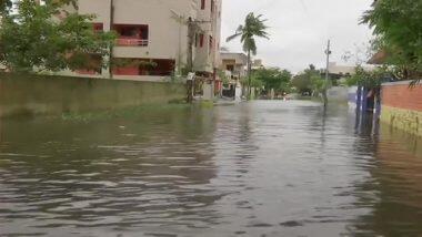Cyclone Nivar: तमिलनाडु में तूफान 'निवार' से 5 लोगों की मौत, पेड़ और बिजली के खंभे हुए धराशायी