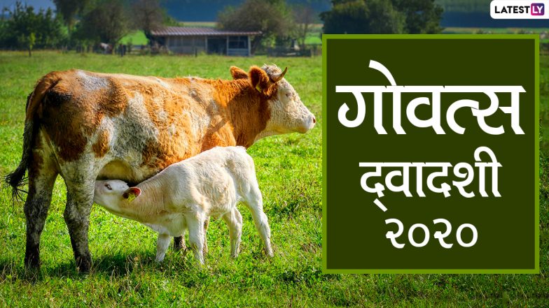 Govatsa Dwadashi 2020 Wishes & Images: गोवत्स द्वादशी की अपनों को दें शुभकामनाएं, भेजें ये हिंदी WhatsApp Stickers, Facebook Messages, GIF Greetings, Quotes, SMS और वॉलपेपर्स