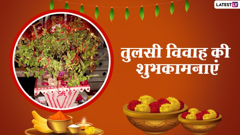 Tulsi Vivah 2020 Hindi Messages: तुलसी विवाह की शुभकामनाएं, अपनों को भेजें ये WhatsApp Stickers, Quotes, Facebook Greetings और GIF इमेजेस