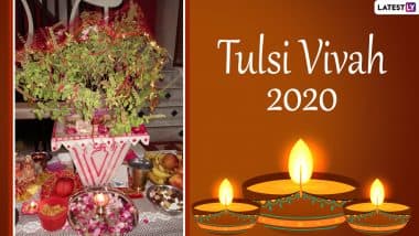 Tulsi Vivah 2020: जीवन में निरंतर हो रहे अमंगलों से मुक्ति पाने के लिए इन अष्ट मंत्रों के साथ करें तुलसी विवाह