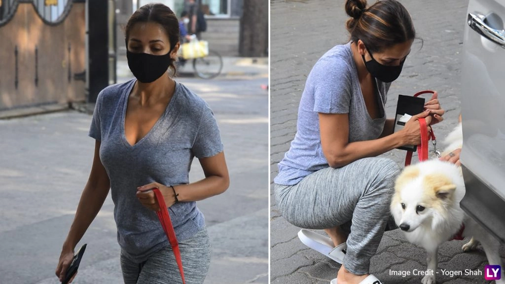 मलाइका अरोड़ा अपने इस खास साथी के साथ निकलीं मॉर्निंग वॉक पर