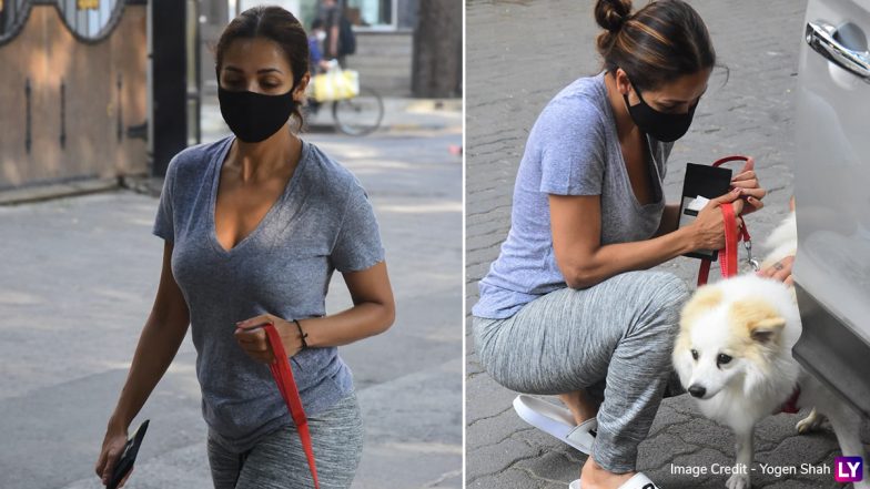 Malaika Arora Photos: मलाइका अरोड़ा अपने इस खास साथी के साथ निकलीं मॉर्निंग वॉक पर, हॉट अंदाज में आईं नजर, देखें फोटोज
