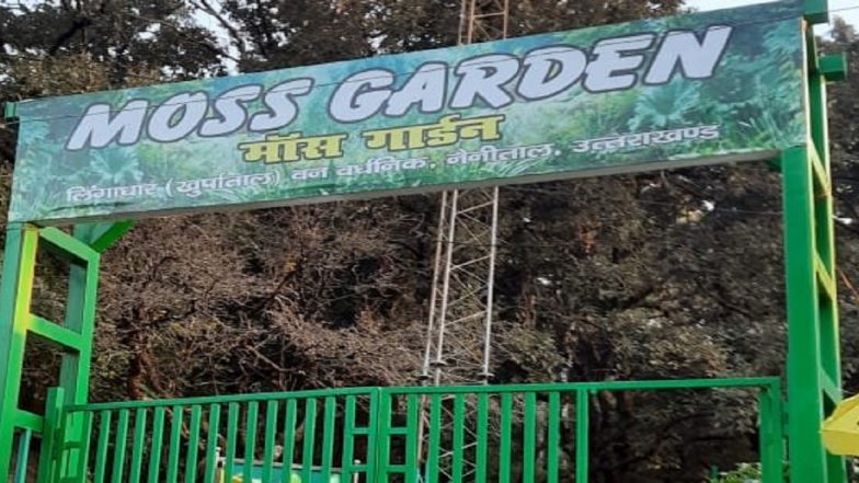 Moss Garden in Nainital: उत्तराखंड के नैनीताल में विक्सित हुआ देश का पहला मॉस गार्डन