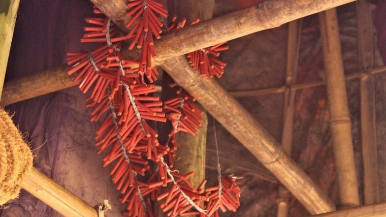 Firecrackers Ban in Rajasthan: राजस्थान में पटाखे बेचने पर 10 हजार और आतिशबाजी करने पर 2 हजार का लगेगा जुर्माना