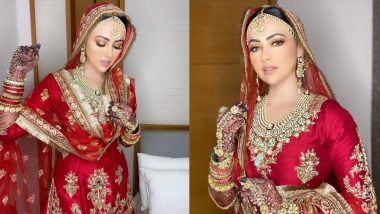 Sana Khan Marriage: सना खान ने शेयर किया अपनी 'निकाह' का स्पेशल Video, शादी के एक महीने पूरे होने पर जताई खुशी