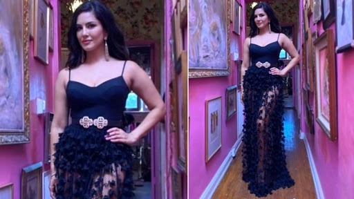 सनी लियोनी ने शेयर की खुबसूरत तस्वीर