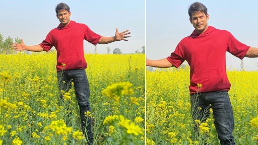 Sidharth Shukla ने खेत में खड़े होकर शाहरुख खान का सिग्नेचर पोज देने की कोशिश की