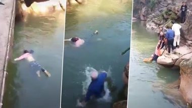 British Diplomat Stephen Ellison Rescues Woman From Drowning: चीन के झोंगशान में डूबती हुई महिला को बचाने के लिए ब्रिटिश डिप्लोमैट स्टीफेन एलिसन नदी में कूदे, देखें वीडियो