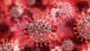 Chapare Virus: कोरोना महामारी के बीच लोगों के लिए एक और मुसीबत, अब मंडराने लगा ‘चापरे वायरस’ का खतरा, जानें क्या है इसके लक्षण