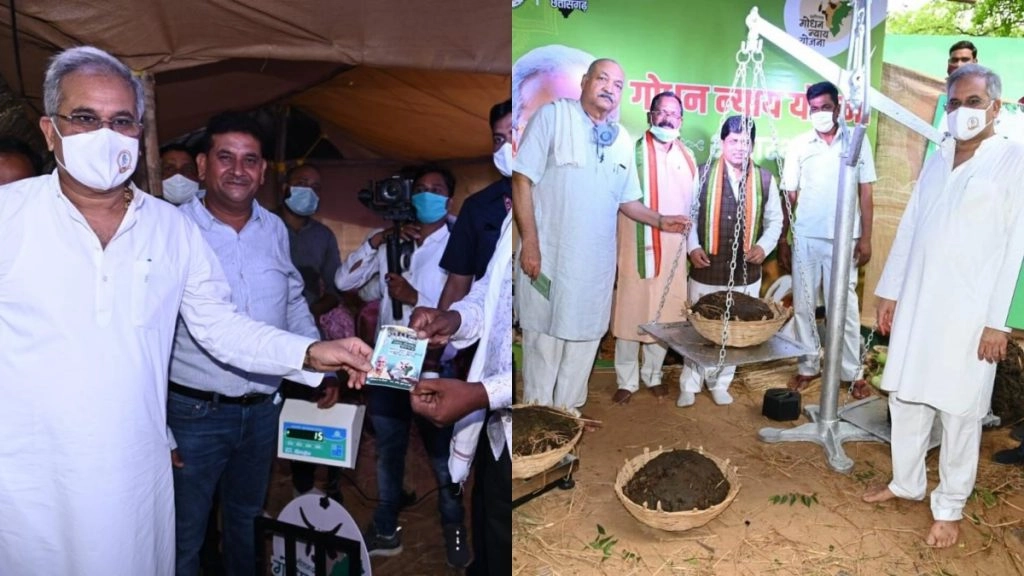 एक दिसंबर से समर्थन मूल्य पर धान खरीदी आरंभ कर रही छत्तीसगढ़ सरकार