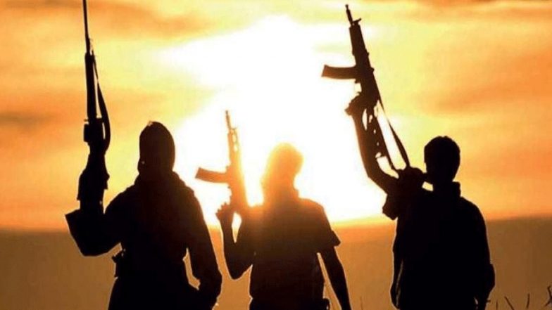 Jammu and Kashmir: बारामूला में सुरक्षा बलों के साथ मुठभेड़ में एक आतंकवादी मारा गया