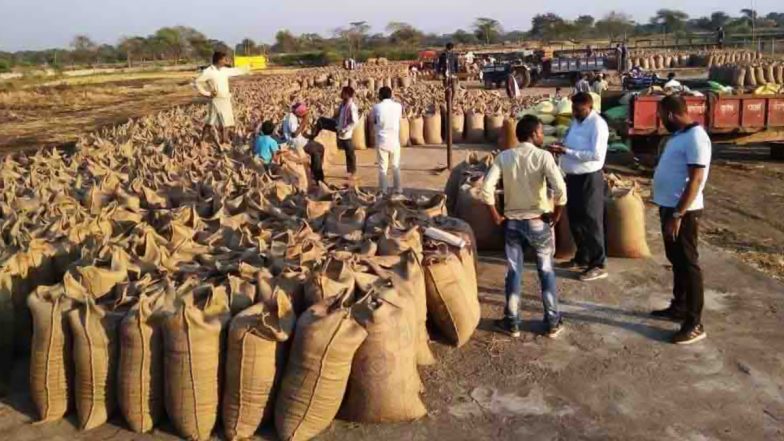 Chhattisgarh: बघेल सरकार की किसान हितेषी नीतियों का दिख रहा है असर, MSP पर उपज बेचने वालों की संख्या 94 प्रतिशत से ज्यादा