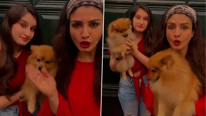 Shehnaaz Kaur Gill के 'सड्डा कुत्ता कुत्ता' मीम में शामिल हुईं Raveena Tandon, बनाया वीडियो