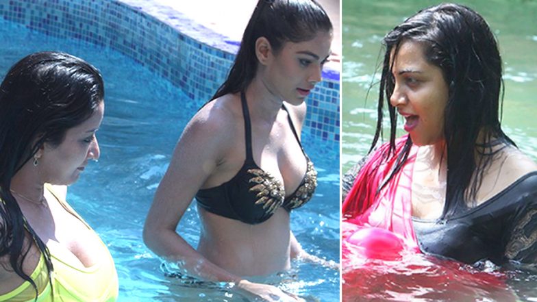 Bigg Boss 14: सलमान खान के शो में बेहद अहम 'स्विमिंग पूल' का किरदार', जानें इसकी वजह