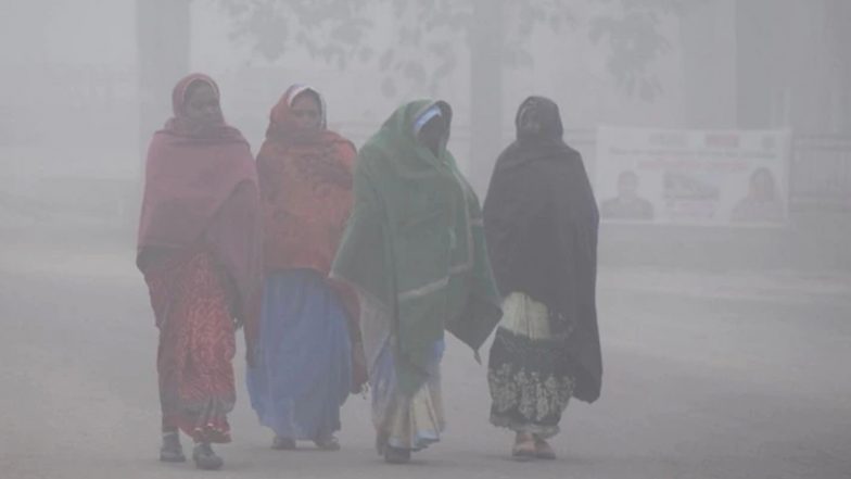 हरियाणा और  पंजाब में बढ़ी ठंड, शीत लहर का कहर जारी