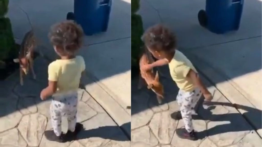 नन्हे हिरण के साथ खेलते बच्चे का वीडियो हुआ वायरल, जिसे देख आप भी कहेंगे So Cute