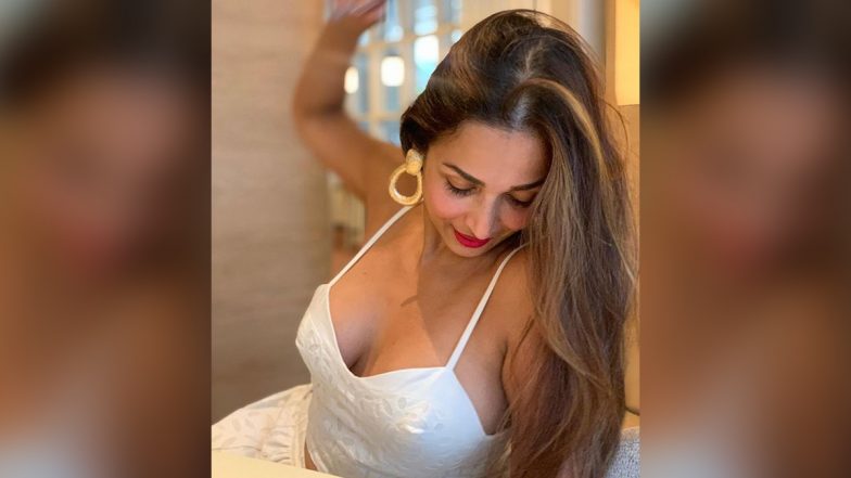 Malaika Arora Yoga Video: मलाइका अरोड़ा ने अपने योगा पार्टनर के साथ क्यूट वीडियो किया शेयर