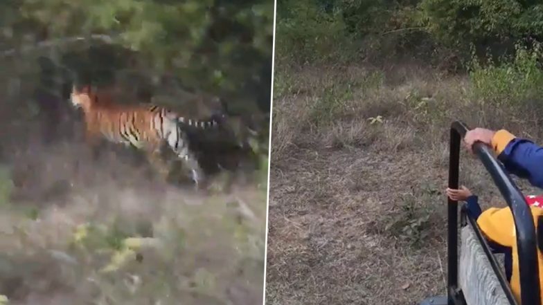 Angry Tiger Viral Video: जंगल सफारी के दौरान पर्यटकों के पास आकर गुस्से में दहाड़ने लगा बाघ, फिर जो हुआ… देखें हैरान करने वाला वीडियो