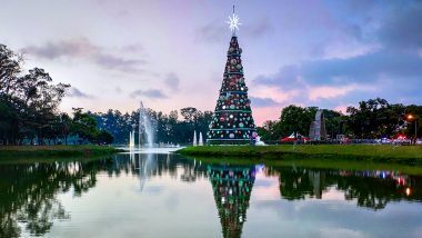 Christmas Tree Dream Explained:  जानें क्रिसमस ट्री और इस त्योहार से संबंधित सपने देखने का क्या होता है अर्थ?