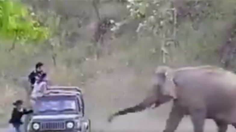 Shocking! हाथियों के क्षेत्र में इंसानों का अतिक्रमण, इस विशाल जानवर ने ऐसे दी पर्यटकों को चेतावनी (Watch Viral Video)