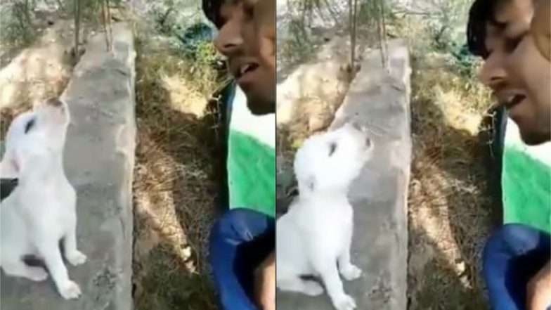 Viral Video: जब कुत्ते को शख्स सिखाने लगा गाना, तो उसने किया कुछ ऐसा… यूजर्स बार-बार देख रहे हैं यह मजेदार वीडियो