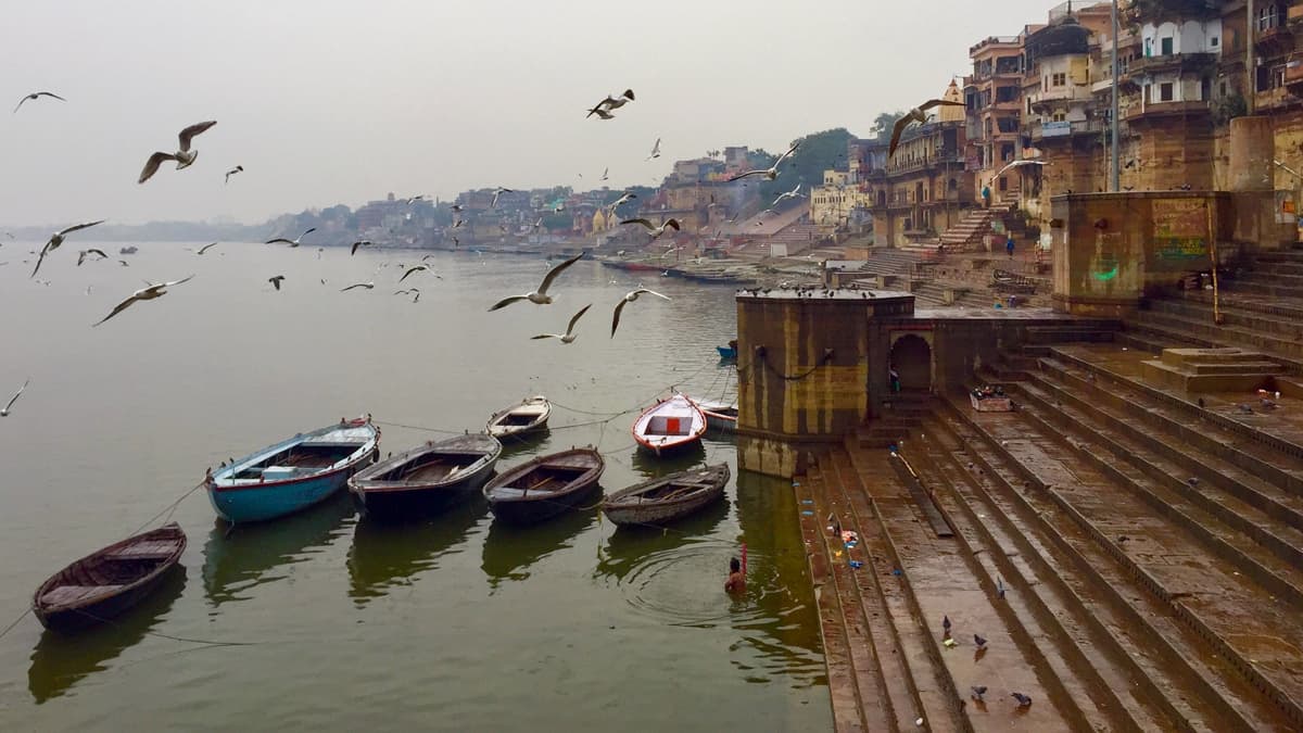 बिहार में गंगा से अब तक निकाले गए 73 शव, नीतीश सरकार में मंत्री संजय कुमार झा ने कहा- सभी यूपी से बहकर आए