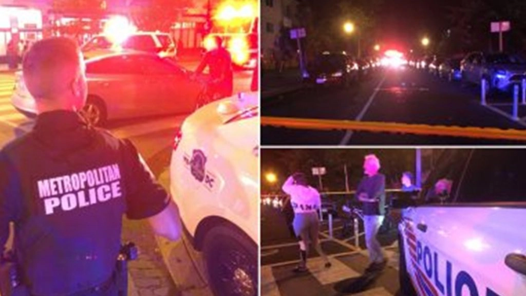 फायरिंग में 4 की मौत