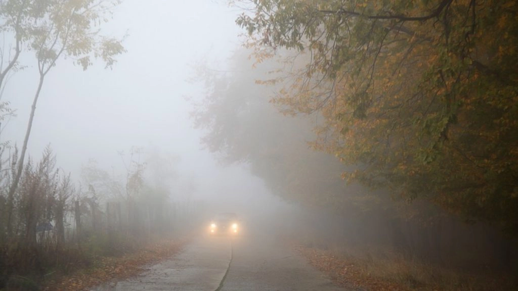 पश्चिम बंगाल के जलपाईगुड़ी जिले में भीषण सड़क हादसा, 13 की मौत