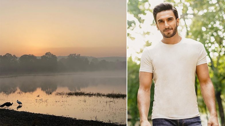 Ranveer Singh ने अपने रणथंभौर वेकेशन की ये खूबसूरत फोटो की शेयर