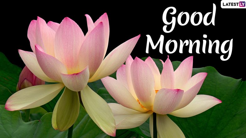 Good Morning 2021 Images & HD Wallpapers: न्यू ईयर की पहली सुबह की दें अपनों को बधाई, भेजें ये WhatsApp Stickers, Positive Quotes और Happy Greetings