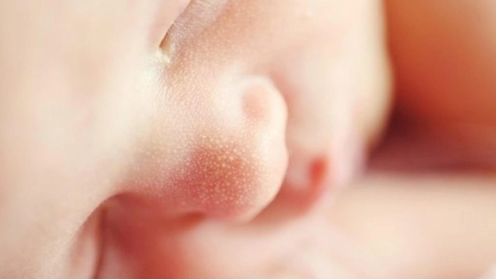 इंदौर के सरकारी अस्पताल में नवजात बच्चे की एड़ी कुतर गए चूहे