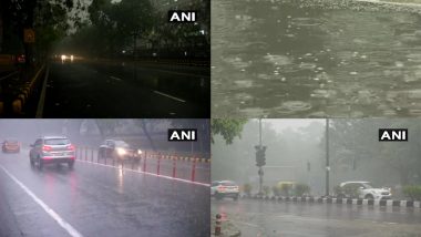 Delhi Weather News: राष्ट्रीय राजधानी दिल्ली के अधिकतर हिस्सों में बारिश के साथ गिरे ओले, छाया घना कोहरा