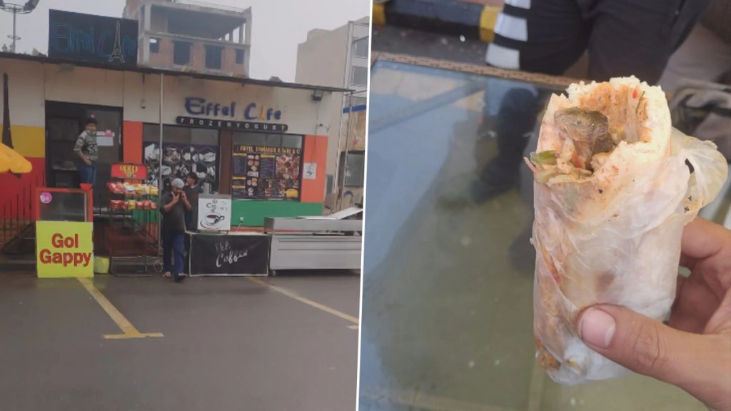 बच्चे के सैंडविच में मरे हुए चूहे को देख फैमिली वालों के उड़े होश, हैरान करने वाली घटना का VIDEO हुआ वायरल