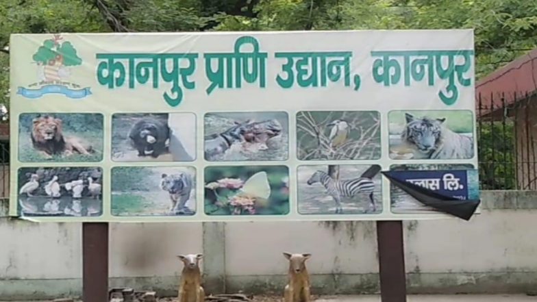 Bird Flu: बर्ड फ्लू की पुष्टि के बाद कानपुर चिड़ियाघर बंद, चार पक्षी पाए गए मृत