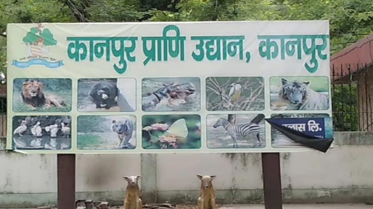 Bird Flu: बर्ड फ्लू की पुष्टि के बाद कानपुर चिड़ियाघर बंद, चार पक्षी पाए गए मृत