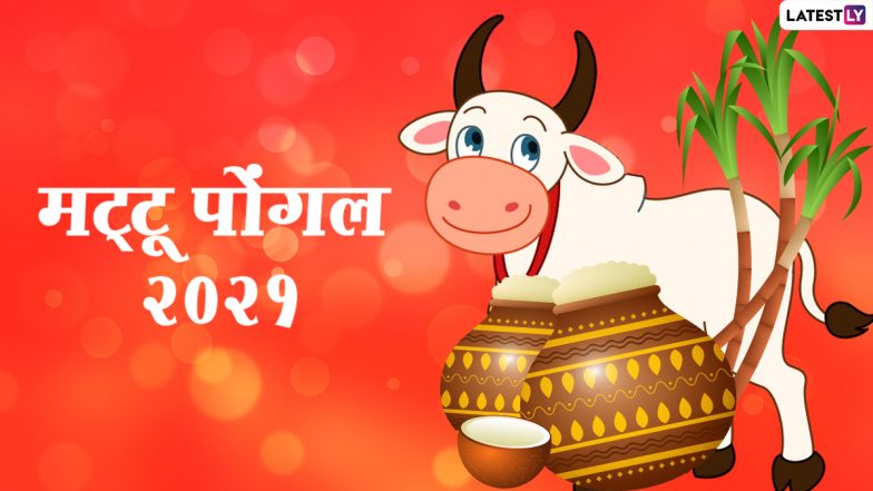 Mattu Pongal 2021 Wishes & Images: मट्टू पोंगल की दोस्तों-रिश्तेदारों को दें बधाई, भेजें ये हिंदी Quotes, HD Photos, GIF Greetings और वॉलपेपर्स