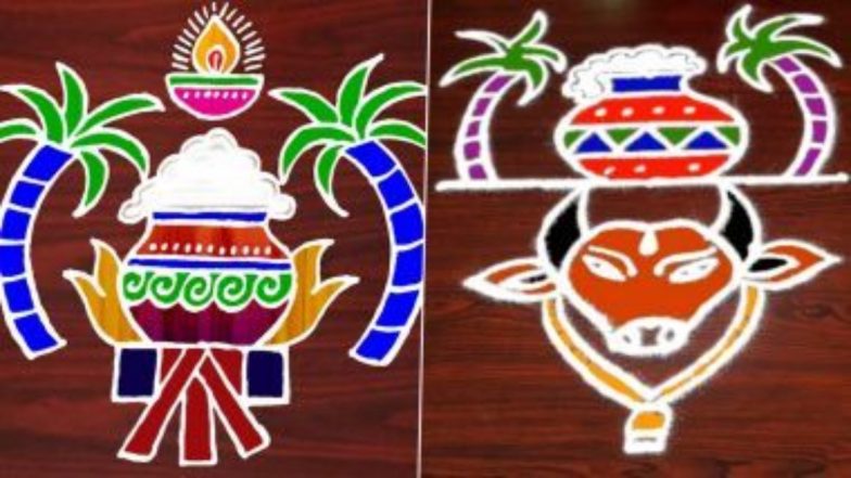 Mattu Pongal 2021 Rangoli Designs: मट्टू पोंगल के दिन बनाएं यह खूबसूरत पोंगल पॉट रंगोली और कोलम पैटर्न (Watch Video Tutorials)