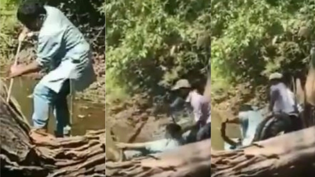 कर्नाटक: रेस्क्यू ऑपरेशन के दौरान किंग कोबरा के काटने से बाल-बाल बचा शख्स (Watch Viral Video)
